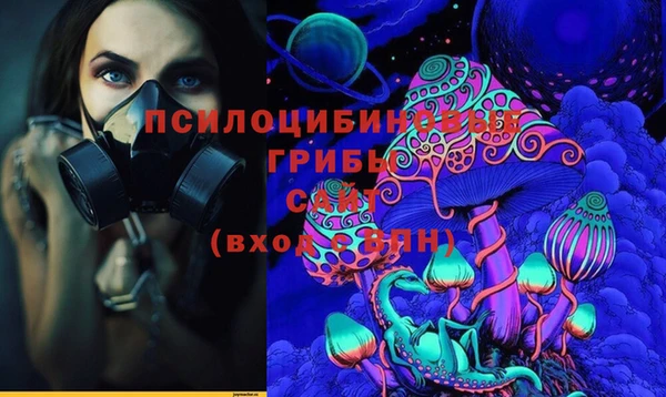 МДПВ Алзамай