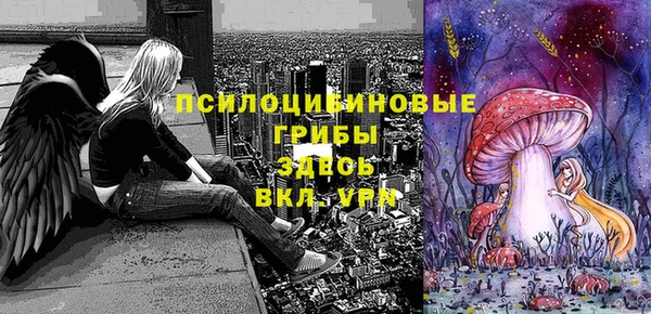 МДПВ Алзамай